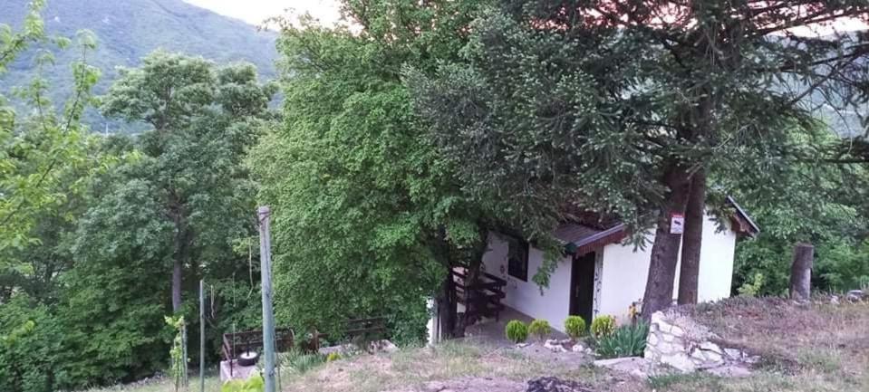 Vila Eva Meduvrsje 외부 사진