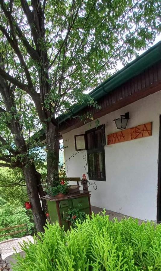 Vila Eva Meduvrsje 외부 사진